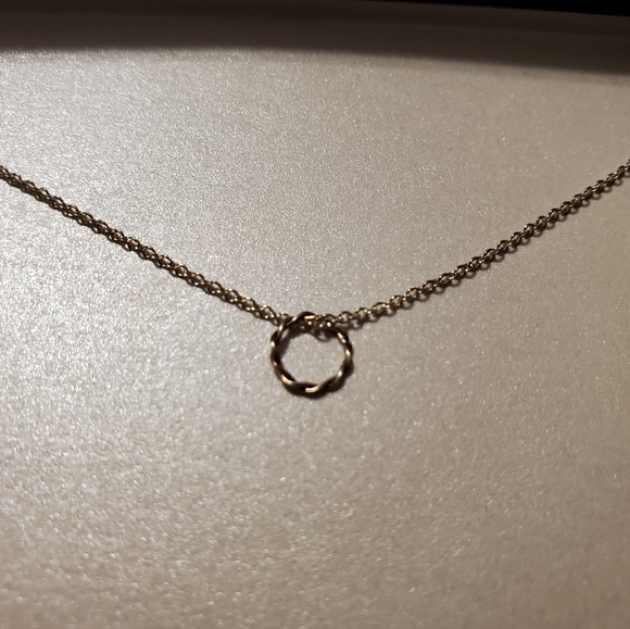 Bundled - Medium & Small Karma Twist Necklaces - Picture 5 of 11